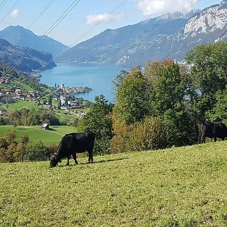 Romantica - Charming Mountain House With A View * Oberterzen